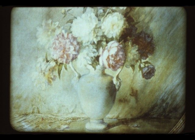 Partie 4, détail 1 (Pôt de fleurs 2), tirage chromogène, 40 cm x 50 cm