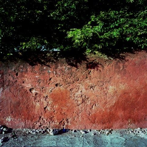 Polyptyque, détail 5 (Mur rouge et feuillages), tirage chromogène, 76 cm x 76 cm