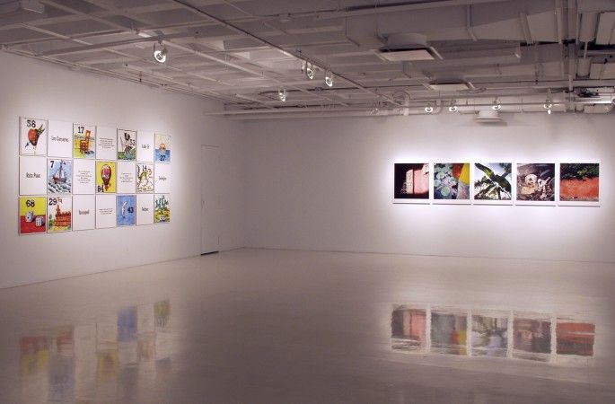 Vue de l’exposition, Galerie des arts visuels (Québec), 2006