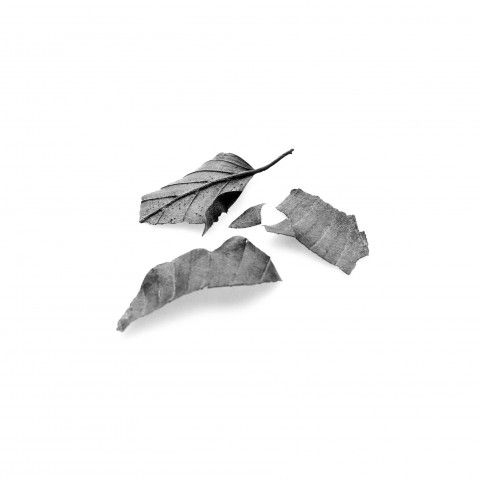 Triptyque 3, détail 3 (Débris de feuilles), impression au jet d’encre, 107 cm x 107 cm